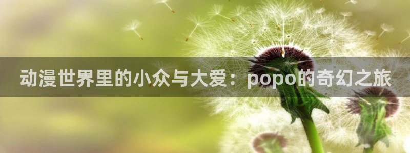 58动漫网站官网：动漫世界里的小众与大爱：popo的奇幻之旅