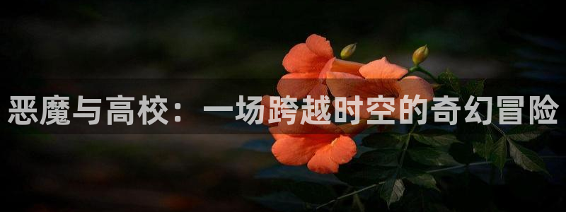 58动漫的网站：恶魔与高校：一场跨越时空的奇幻冒险