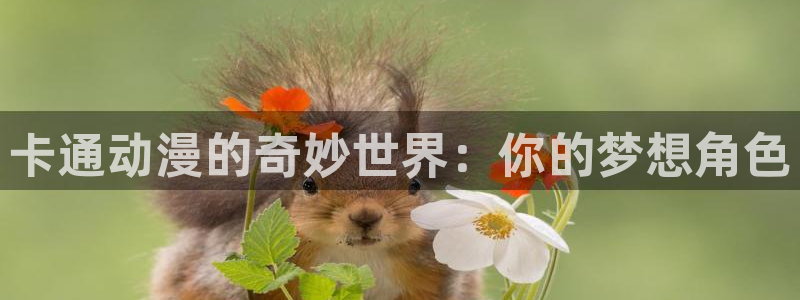 58动漫网观看：卡通动漫的奇妙世界：你的梦想角色
