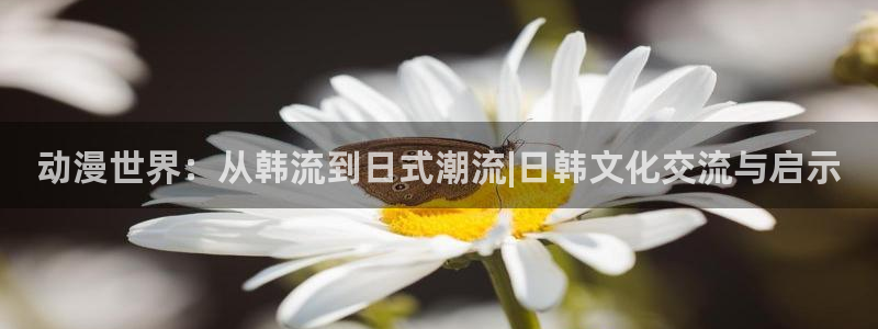 58动漫.：动漫世界：从韩流到日式潮流|日韩文化交流与启示