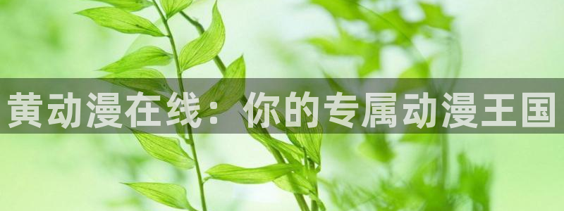58动漫网页版：黄动漫在线：你的专属动漫王国
