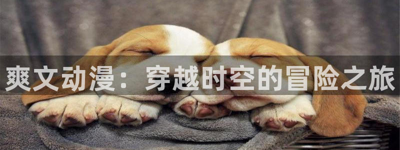 58动漫网 免费：爽文动漫：穿越时空的冒险之旅