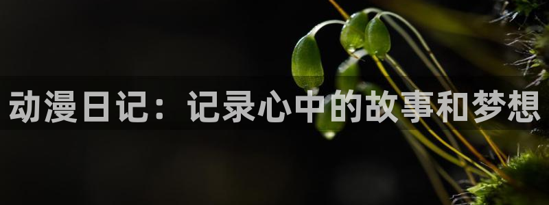 58动漫网手机版下载：动漫日记：记录心中的故事和梦想