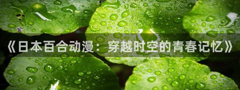 58动漫网入口：《日本百合动漫：穿越时空的青春记忆》