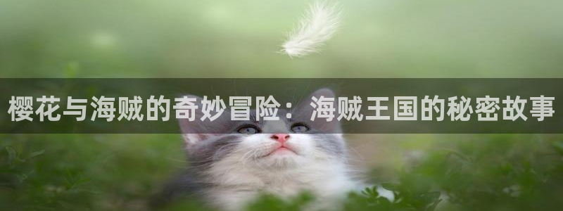 58动漫免费看：樱花与海贼的奇妙冒险：海贼王国的秘密故事